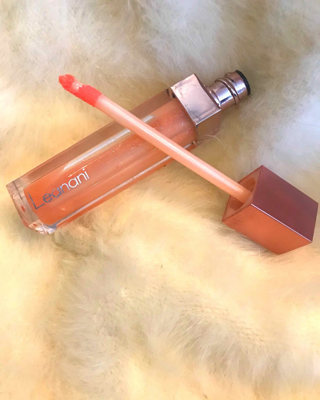 プランプ ジュエル リップグロス/Leanani/リップグロスを使ったクチコミ（1枚目）