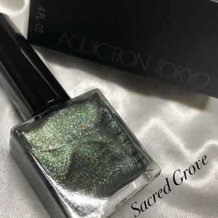 ザ ネイルポリッシュ/ADDICTION/マニキュアを使ったクチコミ(1枚目)