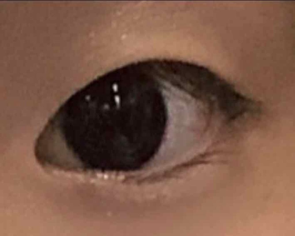 ふたえの衝撃 アイビューティーリキッド/ロージーローザ/二重まぶた用アイテムを使ったクチコミ(2枚目)