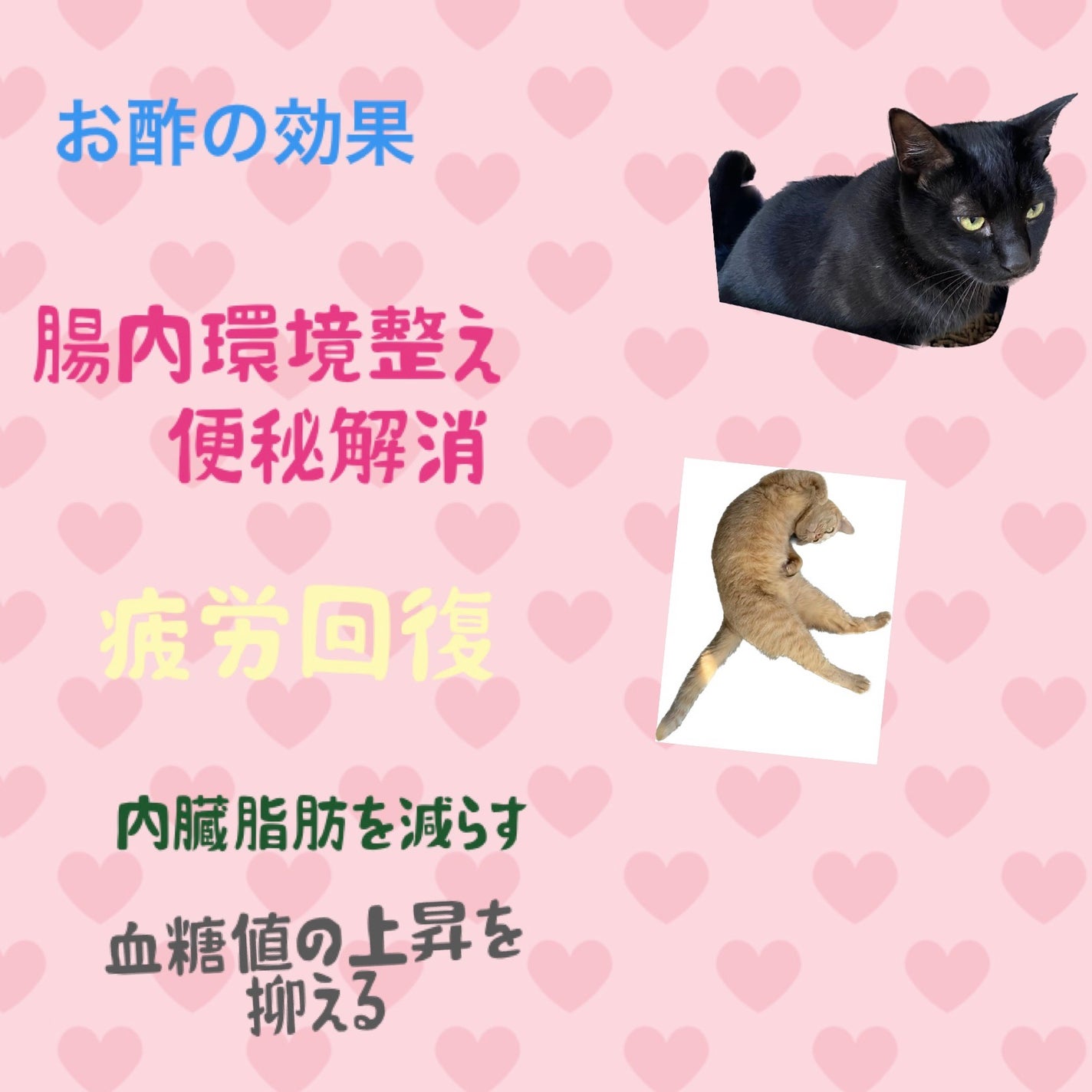 美酢 (希釈タイプ)/美酢(ミチョ)/その他飲むお酢を使ったクチコミ(2枚目)