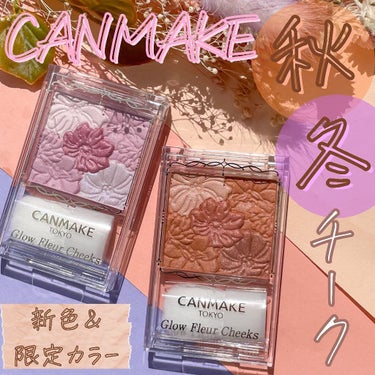 Nanami🤍プチプラ好きのブルベ冬×イエベ春 on LIPS 「キャンメイクチーク　新色＆限定色　紹介✨16タイプパーソナルカ..」（1枚目）