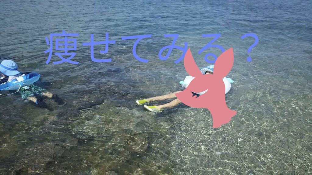 プレミアム ピュア オートミール/ニッショク/オートミールを使ったクチコミ（1枚目）