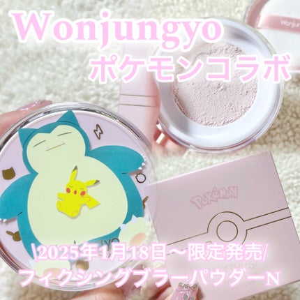 ウォンジョンヨ フィクシングブラーパウダー N/Wonjungyo/ルースパウダーを使ったクチコミ(1枚目)