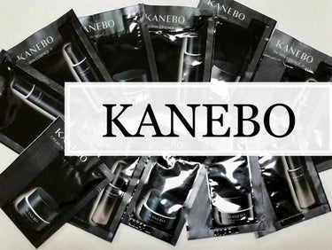 クリーム　イン　デイ/KANEBO/フェイスクリームを使ったクチコミ（2枚目）