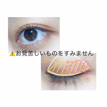 パーフェクトマルチアイズ/キャンメイク/アイシャドウパレットを使ったクチコミ(2枚目)