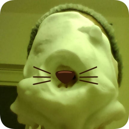 パーフェクトホイップ コラーゲンin/SENKA(専科)/洗顔フォームを使ったクチコミ(4枚目)