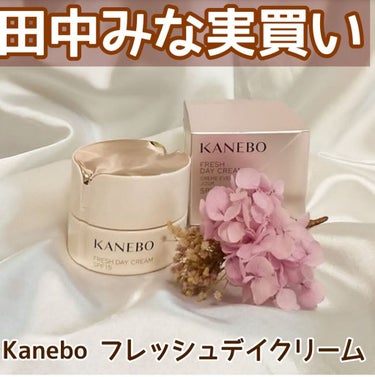 カネボウ オン スキン エッセンス F/KANEBO/化粧水を使ったクチコミ（1枚目）