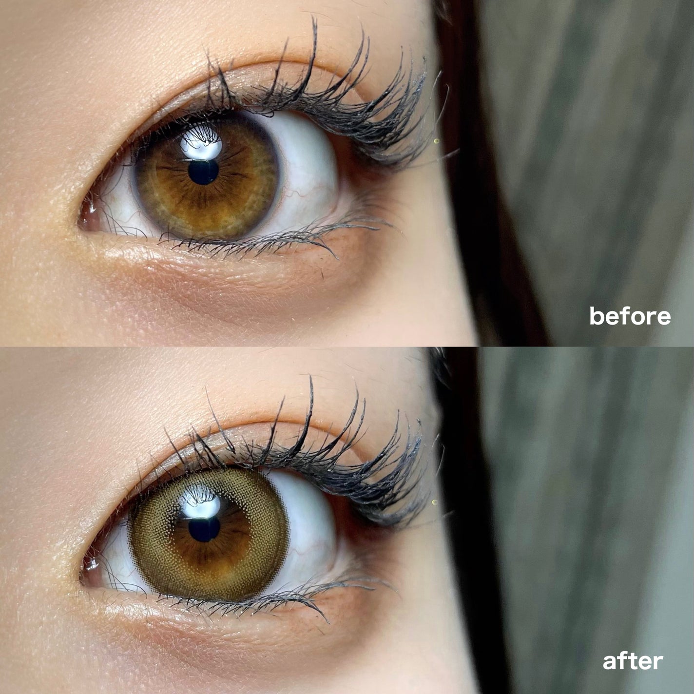 Angelcolor Bambi Series 1day /AngelColor/ワンデー(1DAY)カラコンを使ったクチコミ(2枚目)