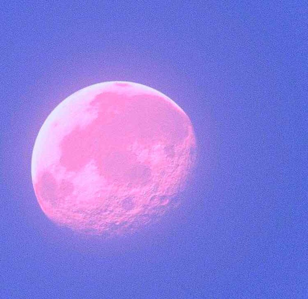 ボディミルクローション ピュアシャンプーの香り/フィアンセ/ボディローションを使ったクチコミ(1枚目)