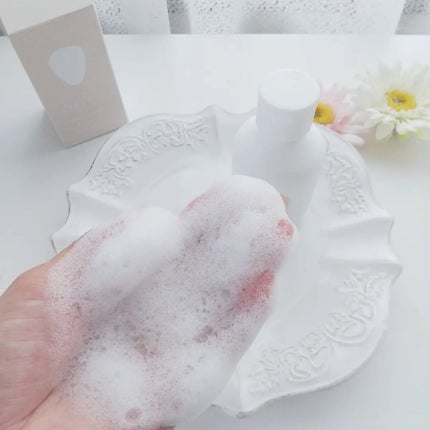 パウダーテック・ウォッシュ/WHITE ICHIGO/洗顔パウダーを使ったクチコミ(5枚目)