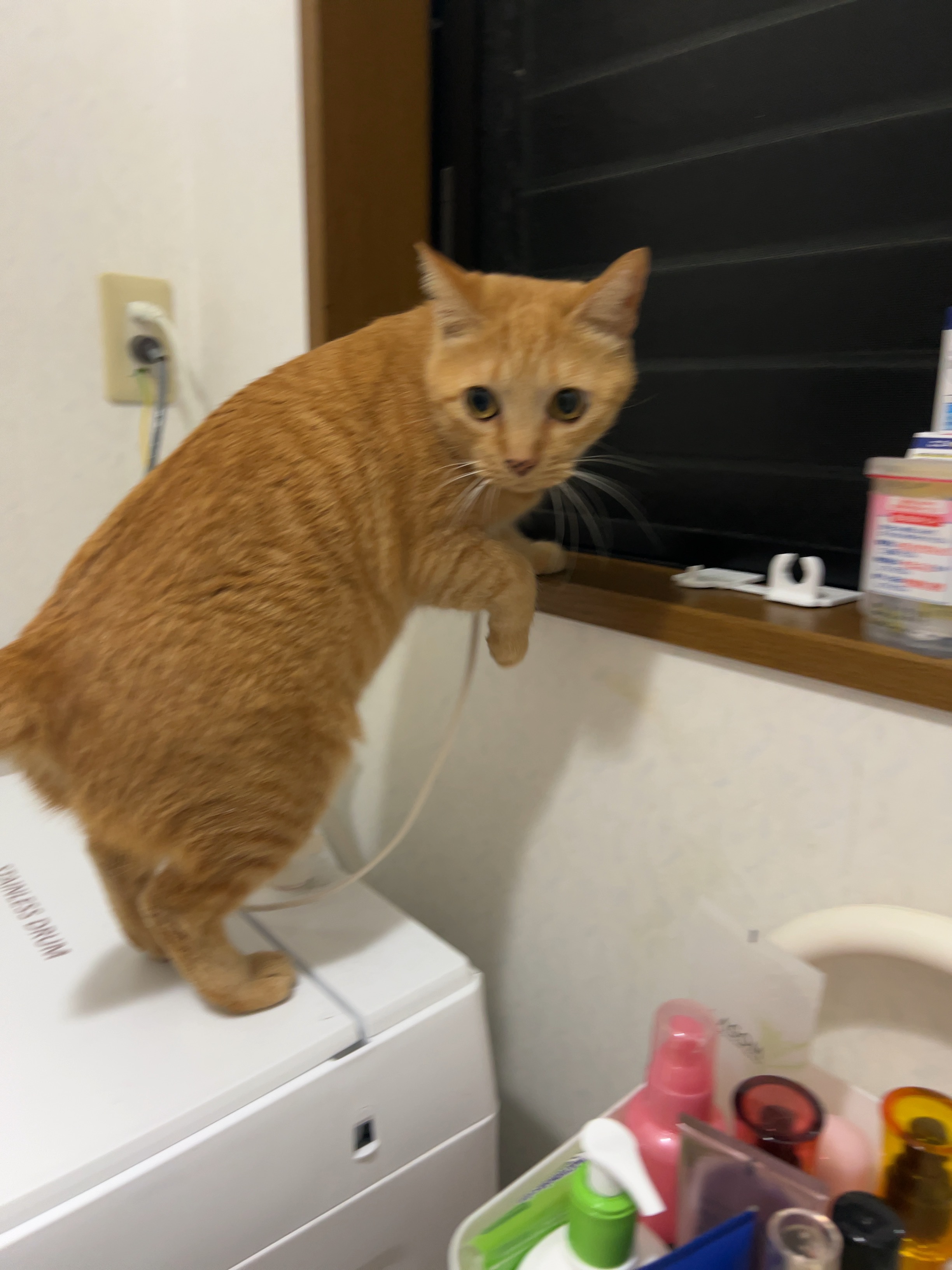 フィニッシングパウダー モイストC/チャコット・コスメティクス/ルースパウダーを使ったクチコミ（3枚目）