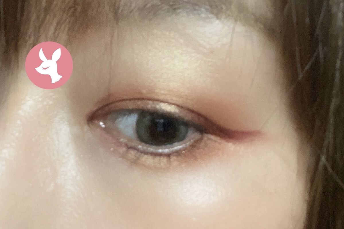 【旧】サンク クルール クチュール/Dior/アイシャドウパレットを使ったクチコミ（3枚目）