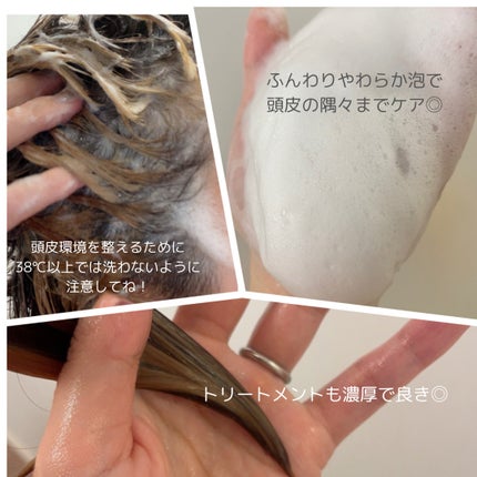 薬用スカルプケアシャンプー/トリートメント モイスト/WELLP/市販シャンプーを使ったクチコミ(2枚目)