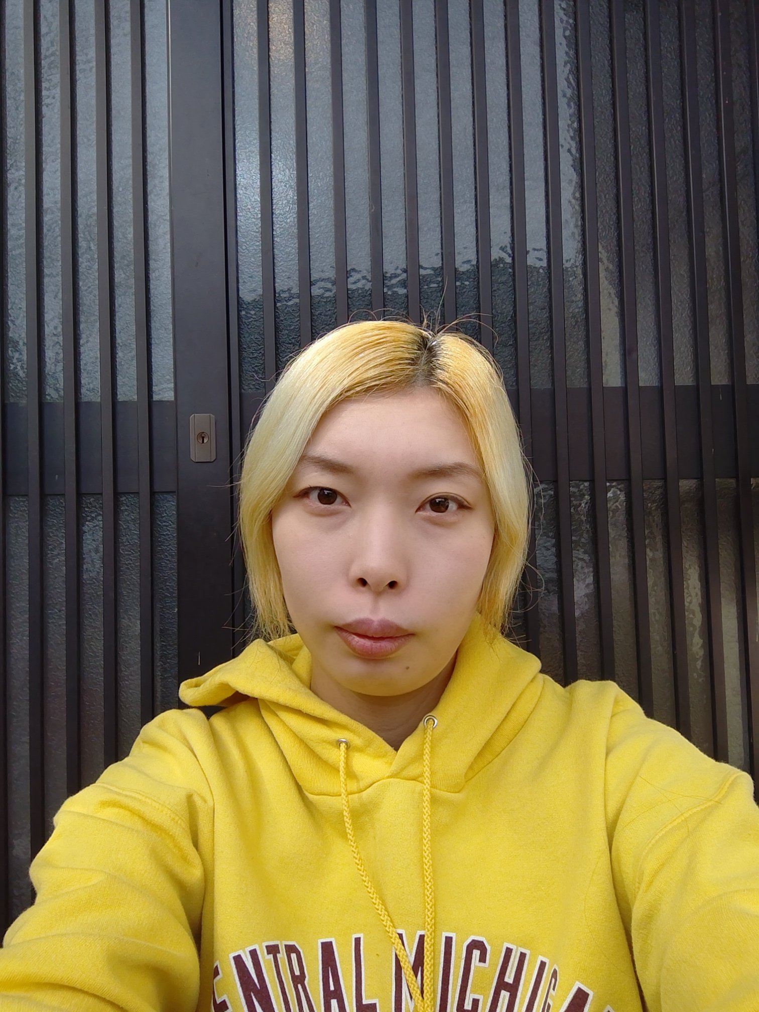 シェーディングパウダー/キャンメイク/シェーディングを使ったクチコミ（1枚目）