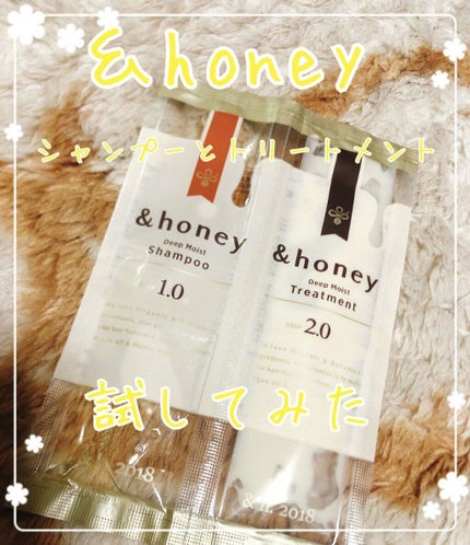 ディープモイスト シャンプー1.0/ヘアトリートメント2.0/&honey/市販シャンプーを使ったクチコミ(1枚目)