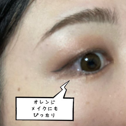 エバーカラーワンデー ナチュラル/エバーカラー/ワンデー(1DAY)カラコンを使ったクチコミ(3枚目)