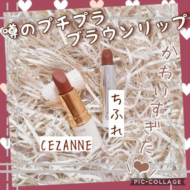 ラスティング リップカラーN/CEZANNE/口紅を使ったクチコミ（1枚目）