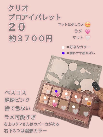 プロ アイ パレット 20 LAZY SOFT PAW/CLIO/アイシャドウパレットを使ったクチコミ(2枚目)