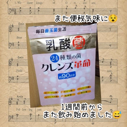 クレンズ革命/バリュージャパン/健康サプリメントを使ったクチコミ(1枚目)
