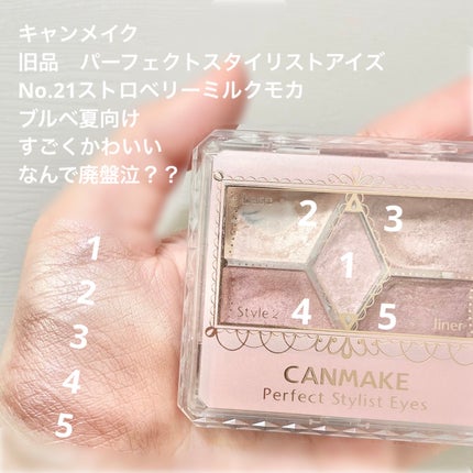 【旧品】パーフェクトスタイリストアイズ/キャンメイク/アイシャドウパレットを使ったクチコミ(5枚目)