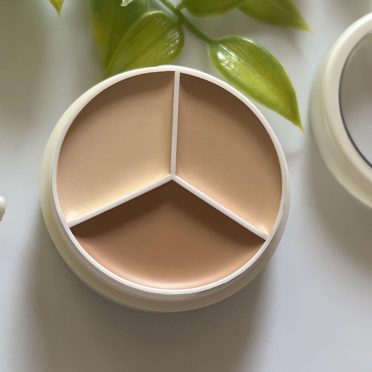 カバーアッププロコンシーラー/TFIT/パレットコンシーラーを使ったクチコミ（2枚目）