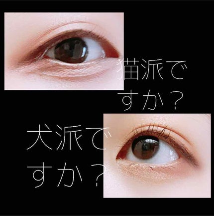 プロ アイ パレット/CLIO/アイシャドウパレットを使ったクチコミ(1枚目)