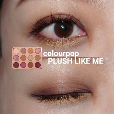 プラッシュ ライク ミー/ColourPop/アイシャドウパレットを使ったクチコミ（1枚目）