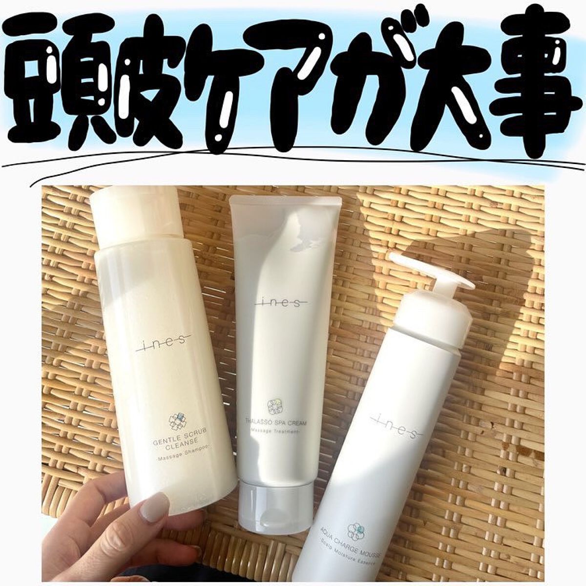 ジェントル スクラブ クレンズ/ines/市販シャンプーを使ったクチコミ（1枚目）