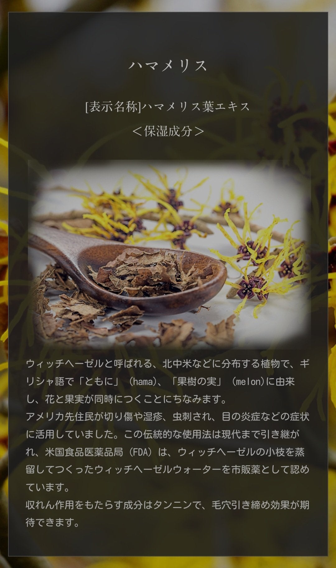 マイスキンケア美容液 ハマメリス/DAISO/美容液を使ったクチコミ(5枚目)