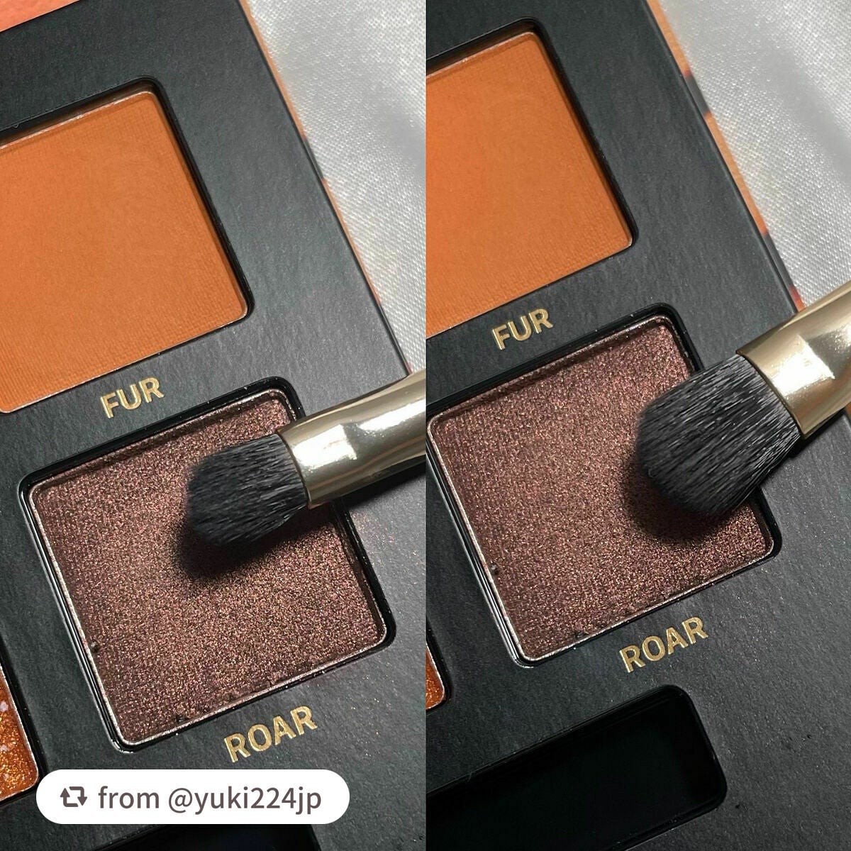 エクスプローラ12色 動物アイシャドウパレット/PERFECT DIARY/アイシャドウパレットを使ったクチコミ(5枚目)