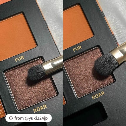 エクスプローラ12色 動物アイシャドウパレット/PERFECT DIARY/アイシャドウパレットを使ったクチコミ(5枚目)