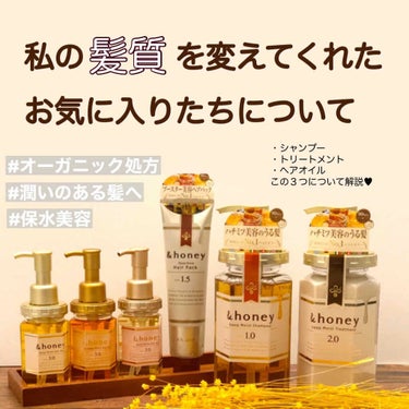 ディープモイスト シャンプー1.0／ヘアトリートメント2.0/&honey/シャンプー・コンディショナーを使ったクチコミ（1枚目）