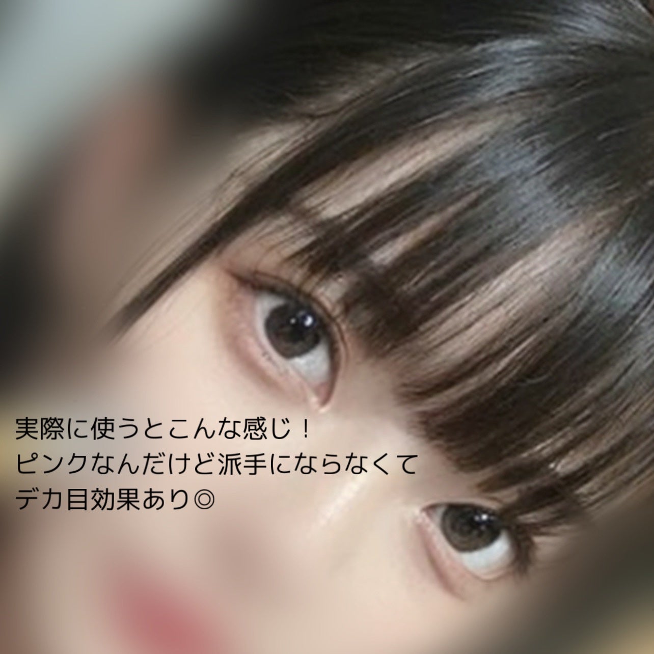 ブラーフィニシュシャドウパレット/Dinto/アイシャドウパレットを使ったクチコミ(5枚目)