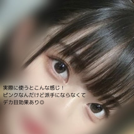 ブラーフィニシュシャドウパレット/Dinto/アイシャドウパレットを使ったクチコミ(5枚目)