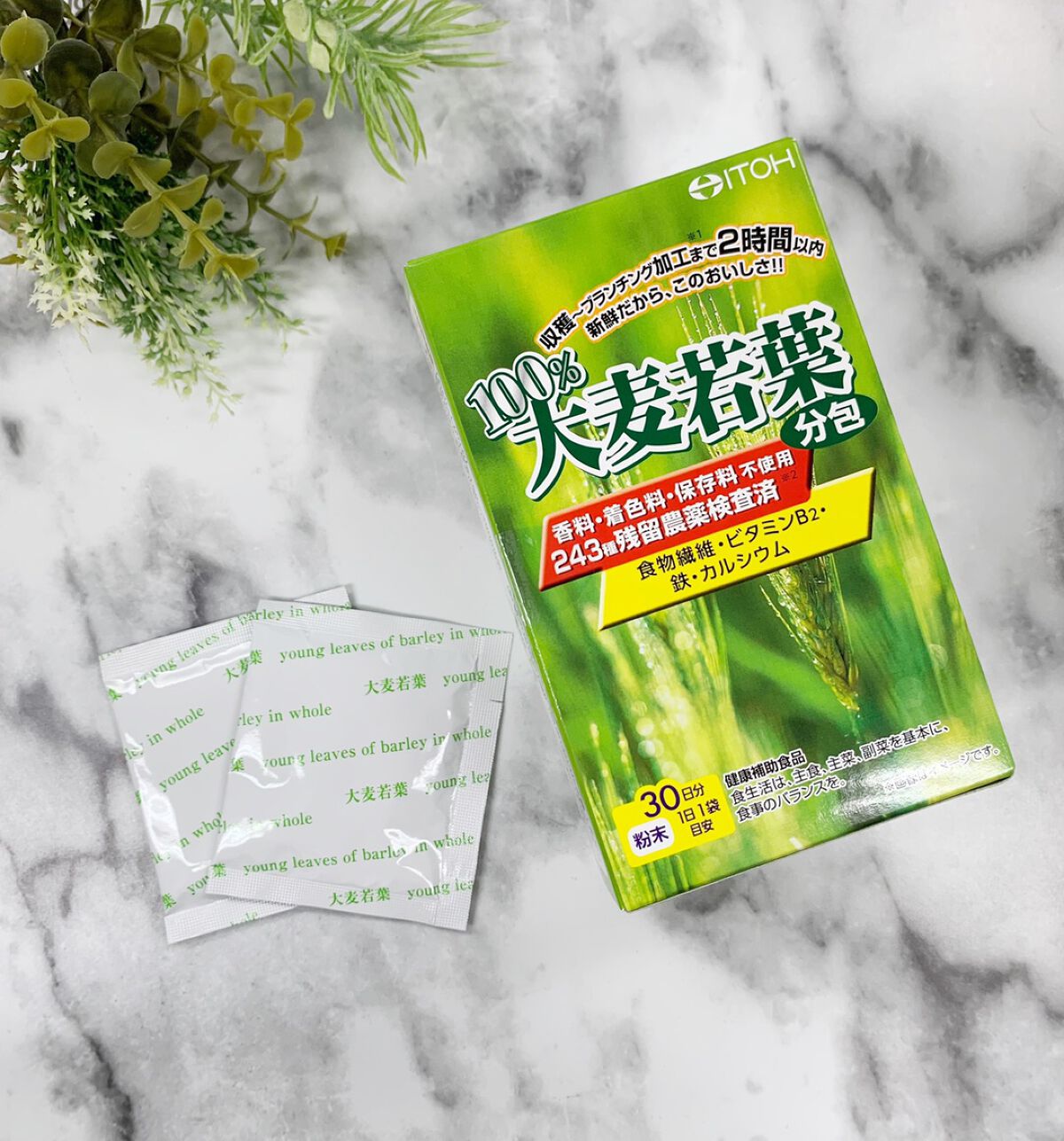 100%大麦若葉 井藤漢方製薬