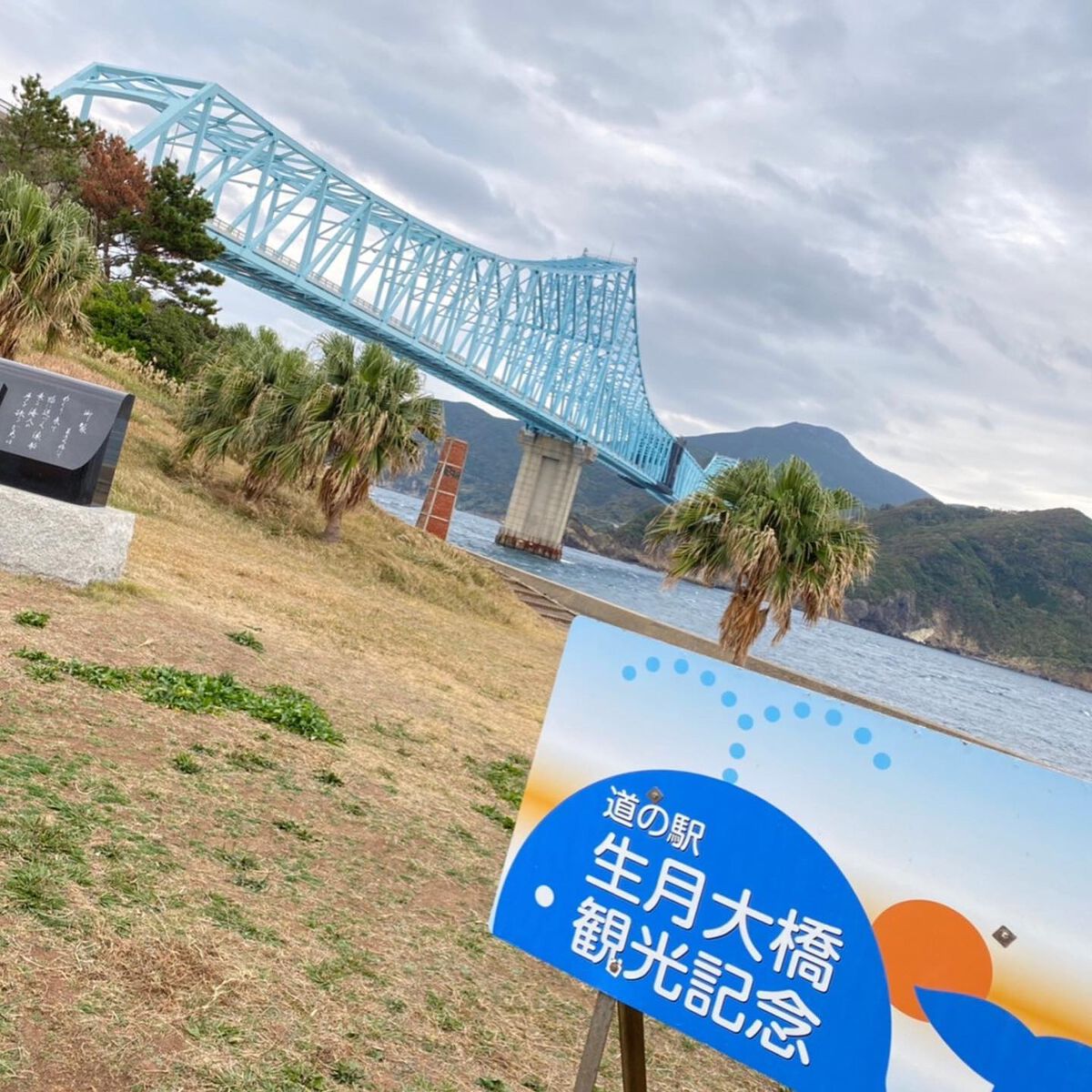 ウィークリージェル/HOMEI/ジェルネイルを使ったクチコミ(8枚目)