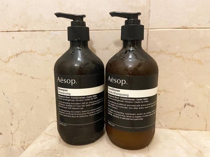 NT シャンプー/Aesop/シャンプー・コンディショナーを使ったクチコミ(1枚目)