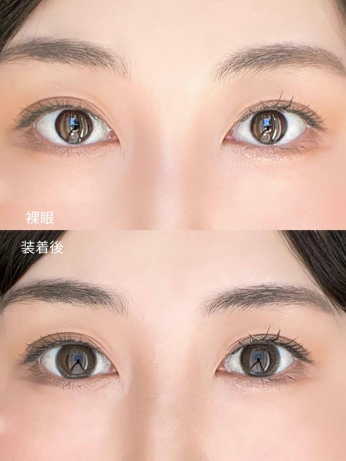 MOLAK 1day/MOLAK/ワンデー(1DAY)カラコンを使ったクチコミ(3枚目)