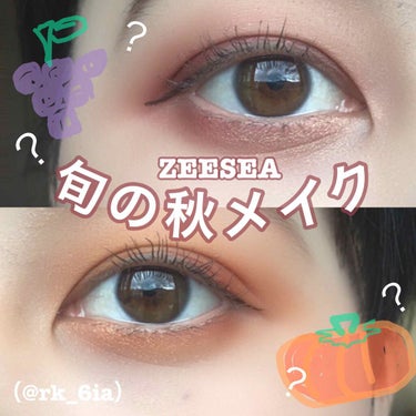 大英博物館 エジプトシリーズ アイシャドウパレット/ZEESEA/パウダーアイシャドウを使ったクチコミ（1枚目）