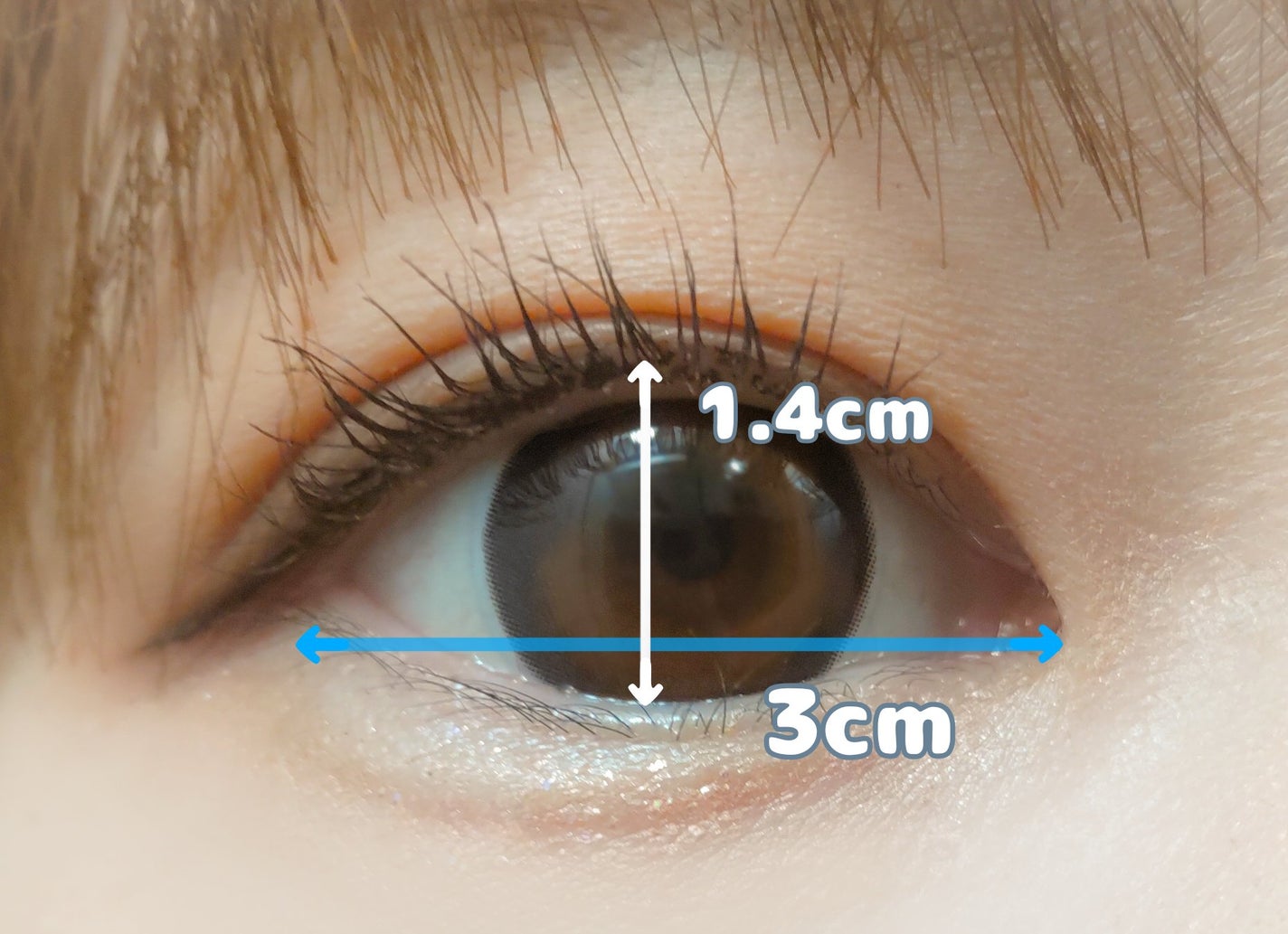 Majette 1day/Majette/ワンデー(1DAY)カラコンを使ったクチコミ(3枚目)