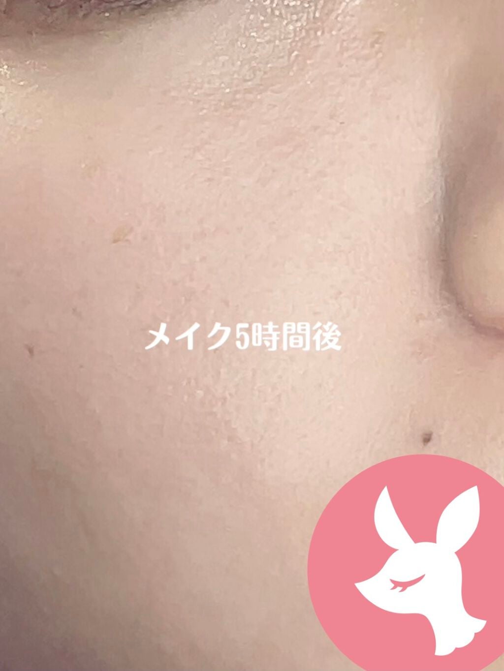 フィニッシングパウダー マット/チャコット・コスメティクス/ルースパウダーを使ったクチコミ(4枚目)