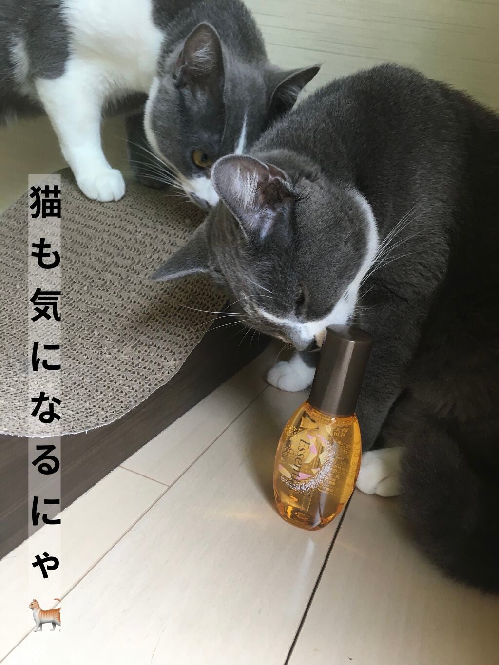 CCãªã€ã«/ãšãã»ã³ã·ã£ã«/ãã¢ãªã€ã«ã䜿ã£ãã¯ãã³ãïŒ5æç®ïŒ