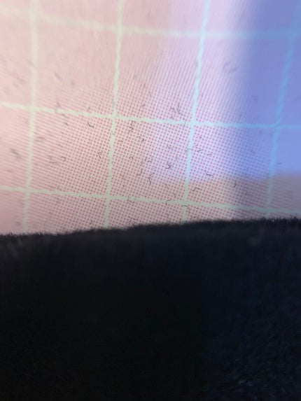 きゃろ on LIPS 「カメラレンズ紹介みなさんはじめまして!きゃろといいます🥕LIP..」(5枚目)