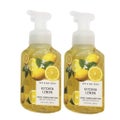 Anti-Bacterial Gentle Foaming Hand Soap / BATH&BODY WORKS