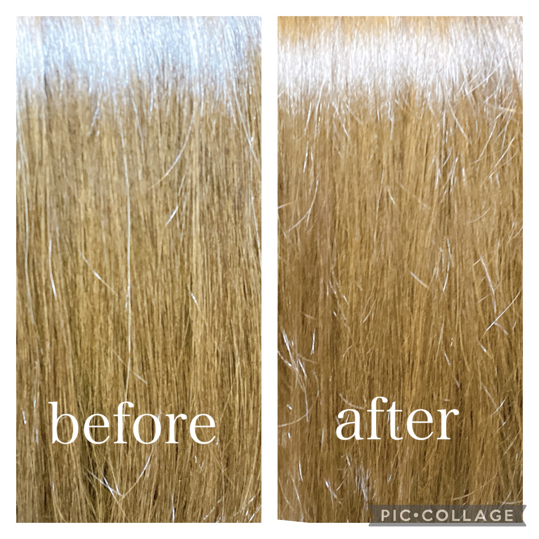 泡カラー マシュマロブラウン/リーゼ/ヘアカラーを使ったクチコミ（2枚目）