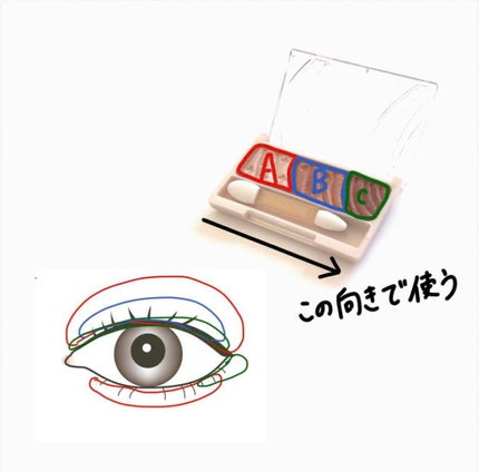 トーンアップアイシャドウ/CEZANNE/アイシャドウパレットを使ったクチコミ(2枚目)