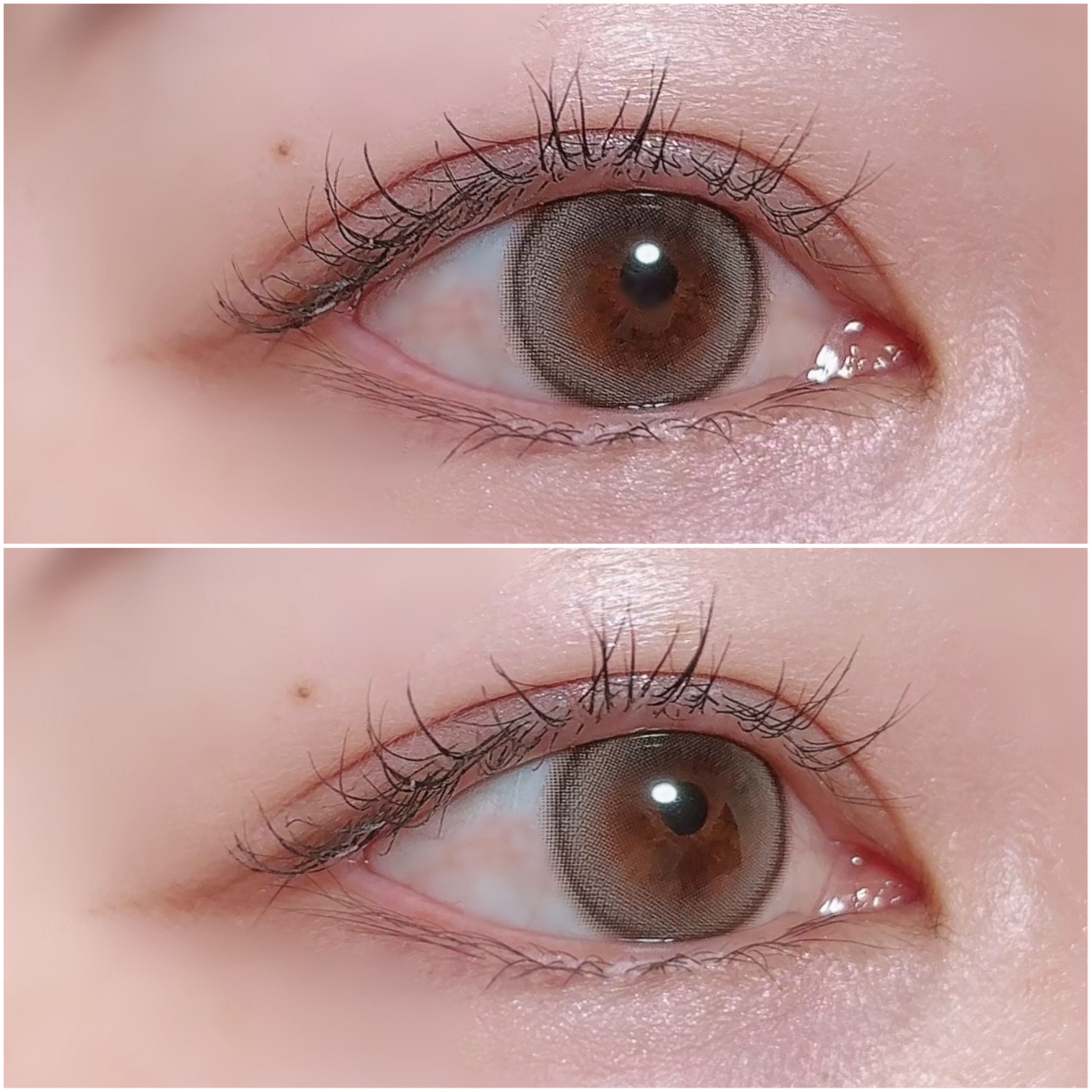 フォーエバーヤングクリスティン/Hapa kristin/１ヶ月（１MONTH）カラコンを使ったクチコミ（3枚目）