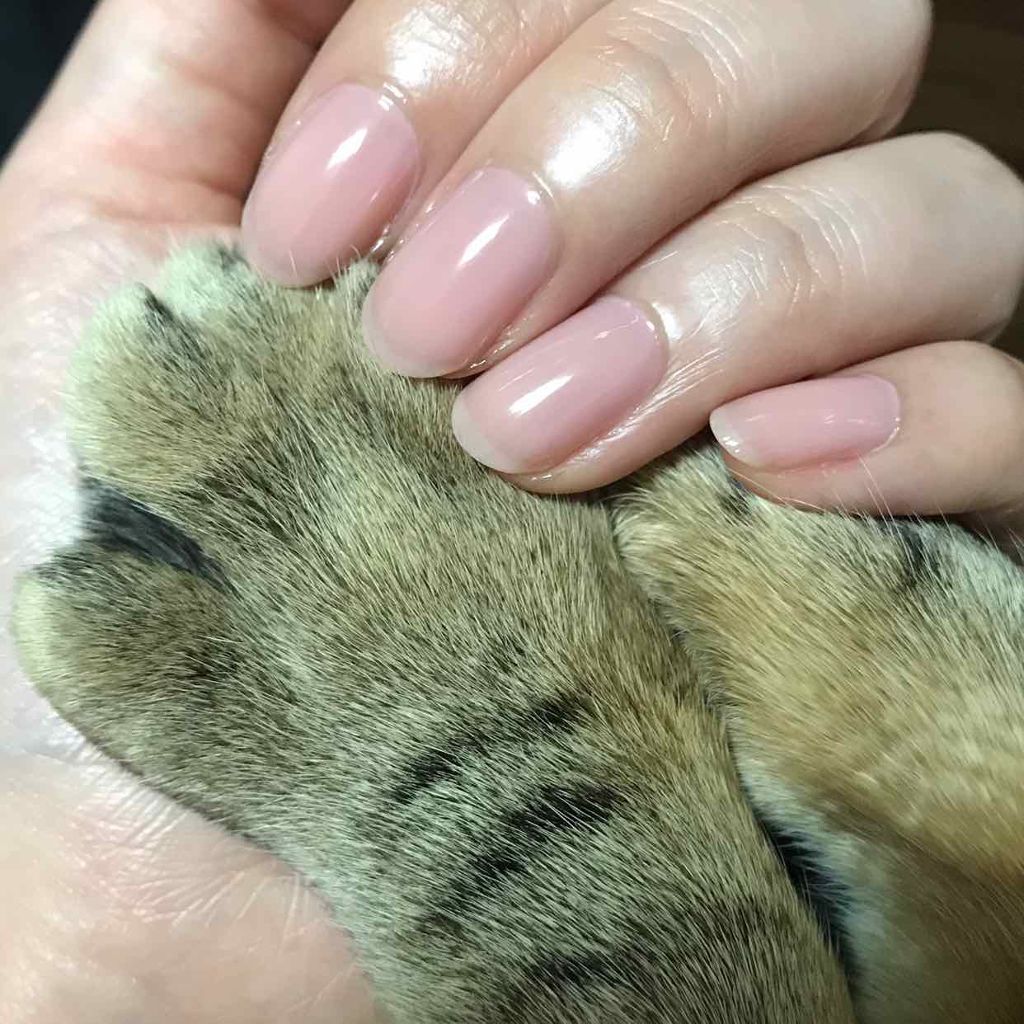 ネイルラッカー/O・P・I/マニキュアを使ったクチコミ（2枚目）