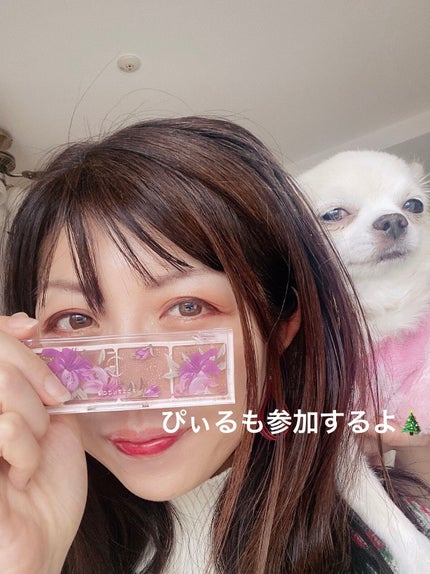 ホリデーパーティーセット/フォレンコス/メイクアップキットを使ったクチコミ(4枚目)