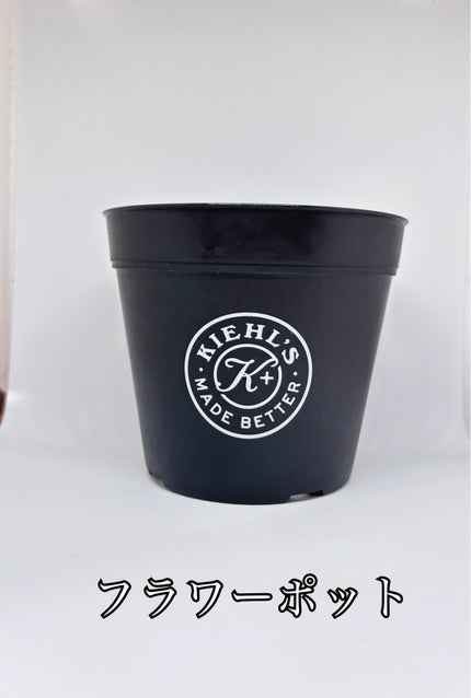 キールズ オイル フリー クレンザー UFC/Kiehl's/洗顔フォームを使ったクチコミ(4枚目)